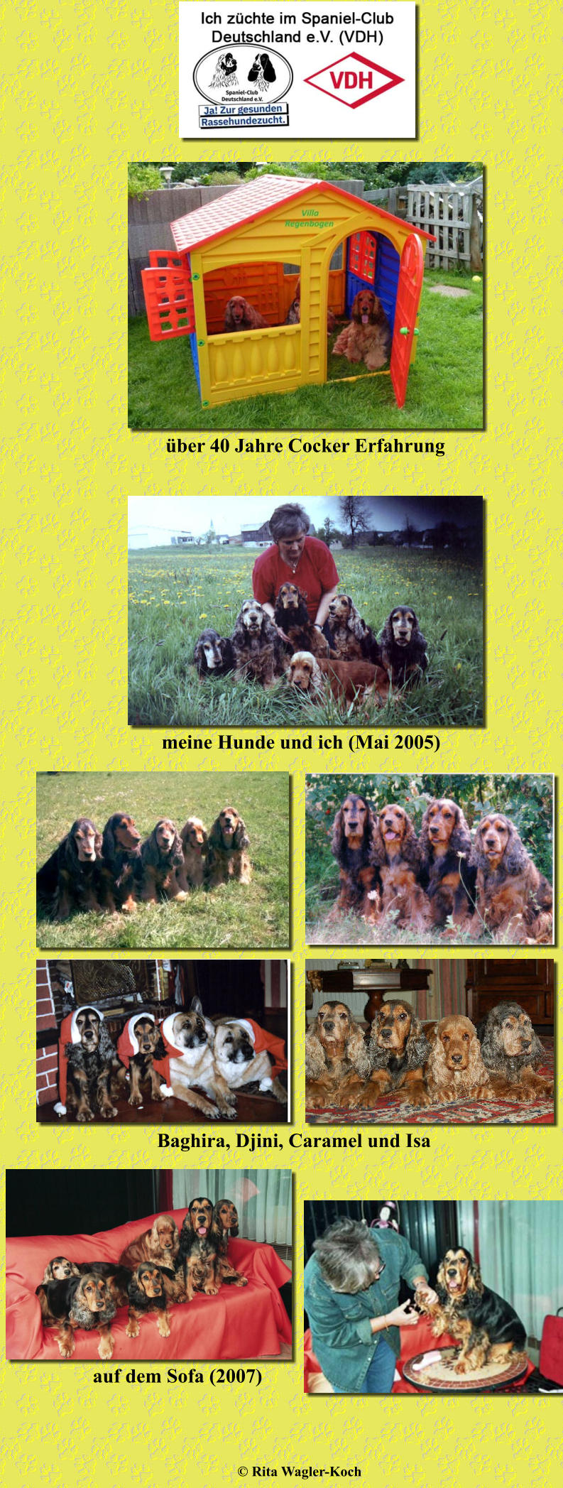 über 40 Jahre Cocker Erfahrung meine Hunde und ich (Mai 2005) Baghira, Djini, Caramel und Isa © Rita Wagler-Koch auf dem Sofa (2007)