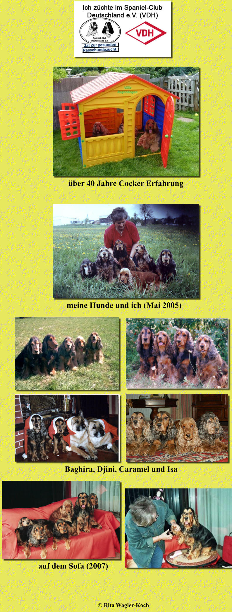 über 40 Jahre Cocker Erfahrung meine Hunde und ich (Mai 2005) Baghira, Djini, Caramel und Isa © Rita Wagler-Koch auf dem Sofa (2007)
